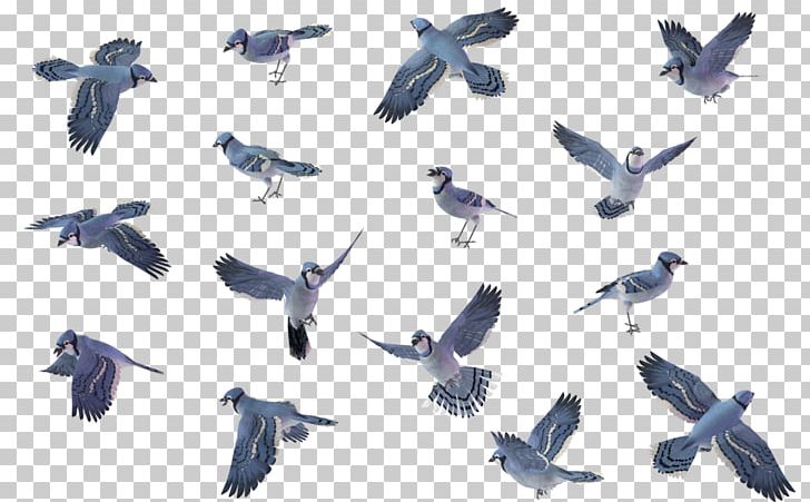 Bird Wren House Sparrow PNG, Clipart, American Robin, Animal Migration, Beak, Bird, Bird Migration Free PNG Download