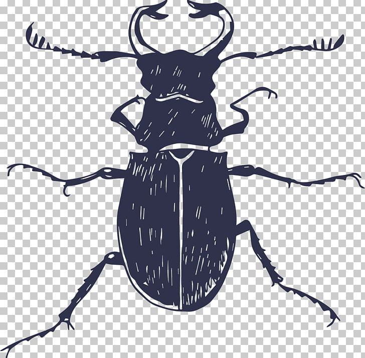 Insect Poster Euclidean PNG, Clipart, Animals, Arthropod, Cer, Child, Design Free PNG Download