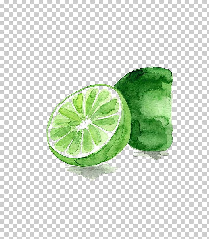 Lemon-lime Drink Watercolor Painting Fruit PNG, Clipart, Canvas, Cartoon, Citric Acid, Citrus, Drawing Free PNG Download