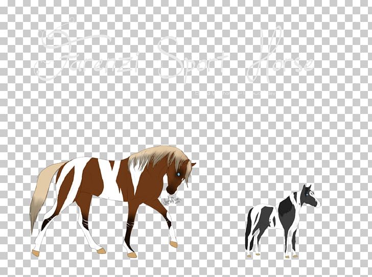 Mustang Stallion Foal Colt Mare PNG, Clipart, Breed, Colt, Deviantart, Foal, Horse Free PNG Download