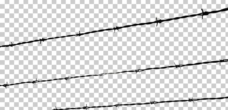 The Holocaust Kristallnacht Barbed Wire Fence PNG, Clipart, Adolf Hitler, Angle, Author, Barbwire, Black And White Free PNG Download