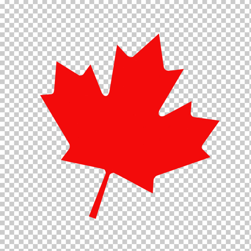 Maple Leaf PNG, Clipart, Canada, Canada Day, Flag, Flag Of Canada, Leaf Free PNG Download