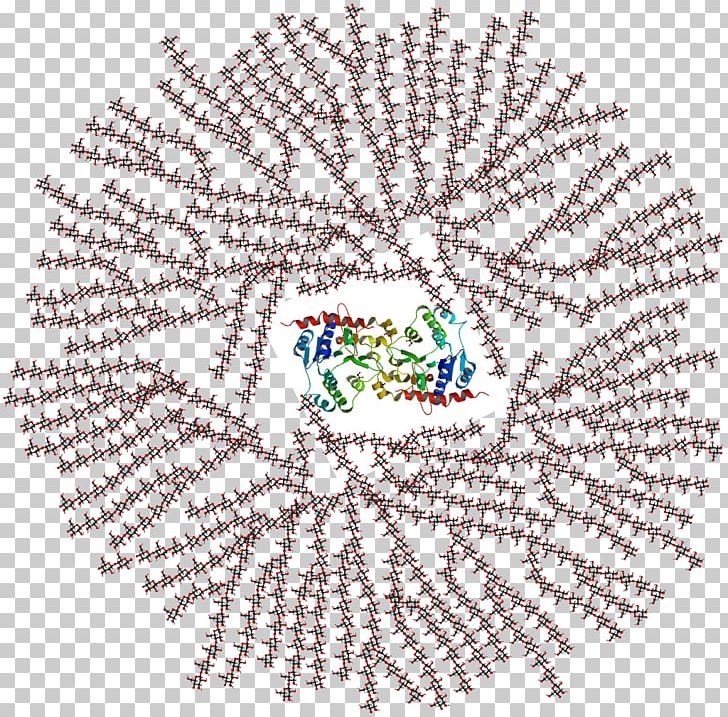 Glycogenolysis Polysaccharide Branching Glycogenesis PNG, Clipart, Amylase, Area, Art, Branching, Carbohydrate Free PNG Download