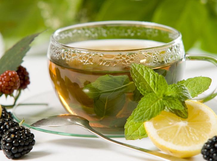 Herbal Tea Masala Chai Lemon Balm PNG, Clipart, Black Tea, Camellia Sinensis, Crush Tear Curl, Drink, Food Drinks Free PNG Download