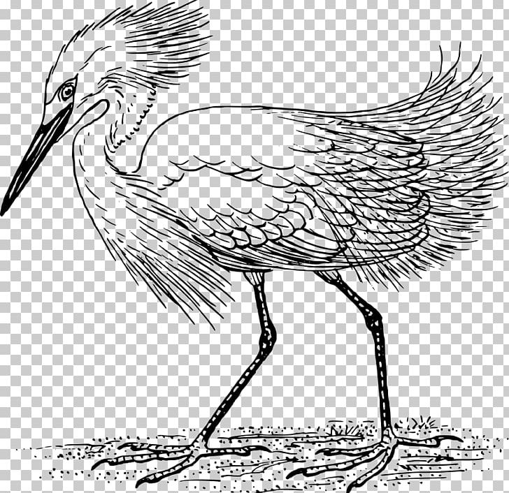 Heron Egret Crane Bird PNG, Clipart, Art, Artwork, Beak, Bird, Cattle Egret Free PNG Download