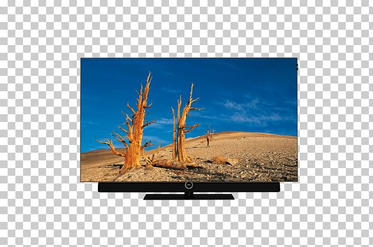 LCD Television Computer Monitors LED-backlit LCD Television Set Liquid-crystal Display PNG, Clipart, Autumn, Backlight, Computer, Computer Monitor, Computer Monitors Free PNG Download