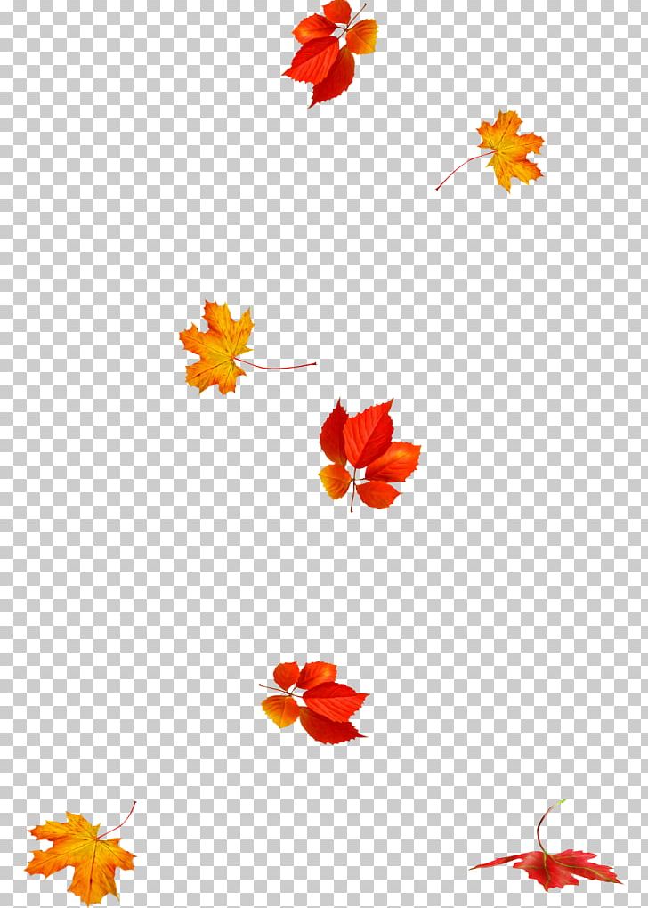 Petal Autumn Leaf Color Autumn Leaf Color PNG, Clipart, Autumn, Autumn Leaf Color, Blizzard, Blog, Cloud Free PNG Download