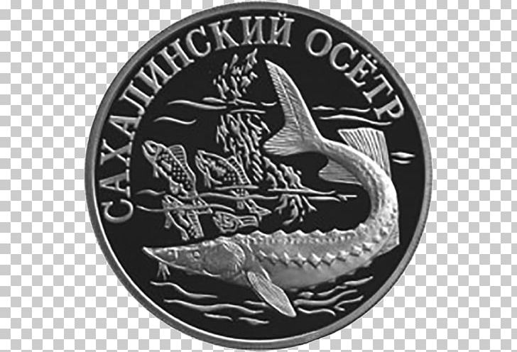 Saint Petersburg Mint Coin Moscow Mint Silver Содружество Независимых Государств PNG, Clipart, Black And White, Brand, Bullion Coin, Coin, Currency Free PNG Download
