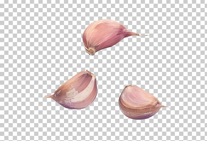 Garlic Bread Condiment PNG, Clipart, 3d Three Dimensional Flower, Cartoon Garlic, Chili Garlic, Download, Encapsulated Postscript Free PNG Download