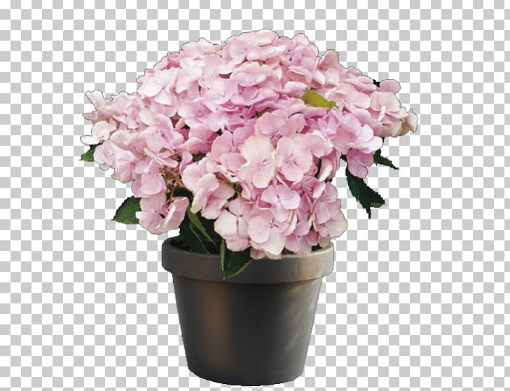 Hydrangea Houseplant Cut Flowers PNG, Clipart, Artificial Flower, Cornales, Cut Flowers, Floral Design, Flower Free PNG Download