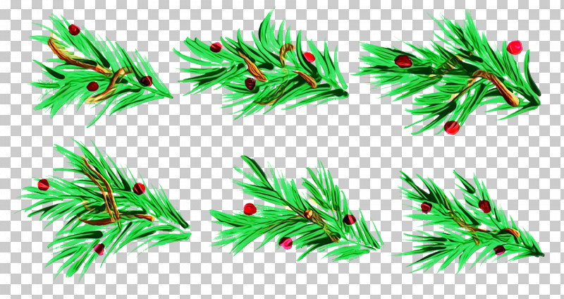 Christmas Day PNG, Clipart, Aquarium, Aquarium Decor, Biology, Branching, Christmas Day Free PNG Download