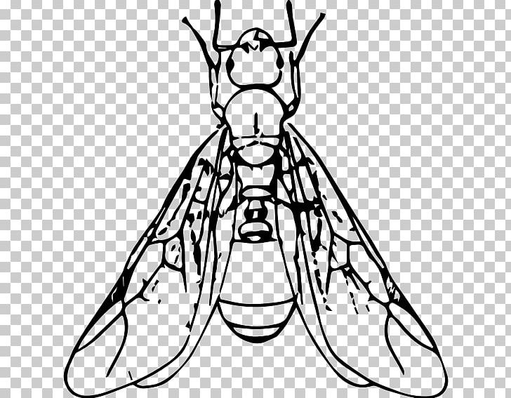 Ant Line Art PNG, Clipart, Ant, Ants, Artwork, Black And White, Cartoon Free PNG Download