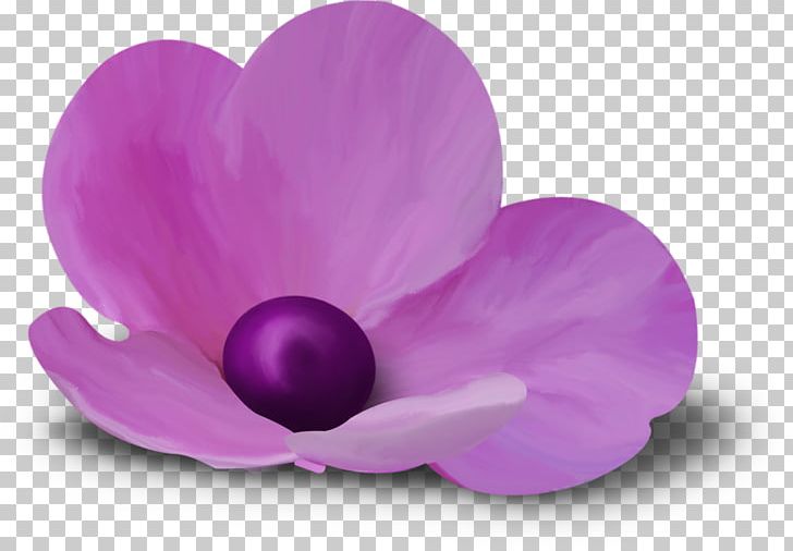 Flower Petal PNG, Clipart, Blog, Desktop Wallpaper, Email, Flower, Garden Roses Free PNG Download
