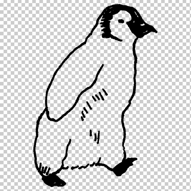 Penguins Birds Flightless Bird Dog Beak PNG, Clipart, Beak, Biology, Birds, Dog, Flightless Bird Free PNG Download