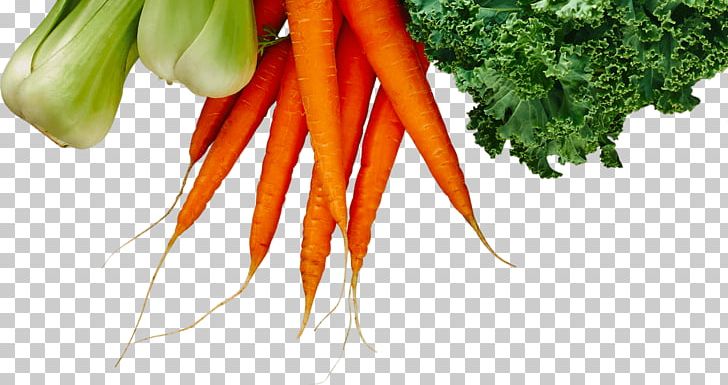 Baby Carrot Fruit Logistica Vegetable Farming Food PNG, Clipart, Afacere, Baby Carrot, Berlin, Carrot, Elo Free PNG Download