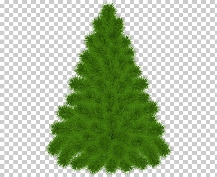 Mediterranean Cypress Pine Tree PNG, Clipart, Bald Cypress, Biome, Christmas Decoration, Christmas Ornament, Christmas Tree Free PNG Download