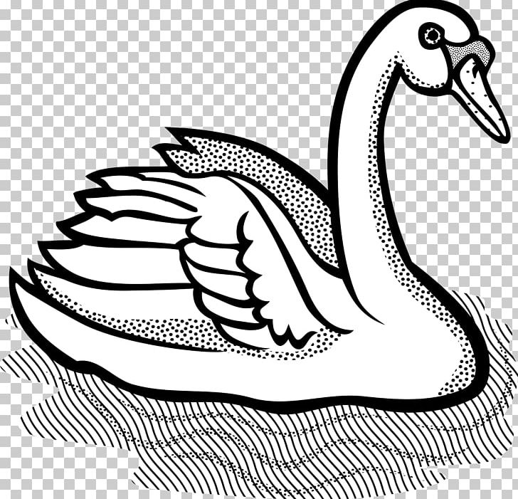 Bird Mute Swan Black Swan PNG, Clipart, Animals, Art, Artwork, Bird, Black And White Free PNG Download