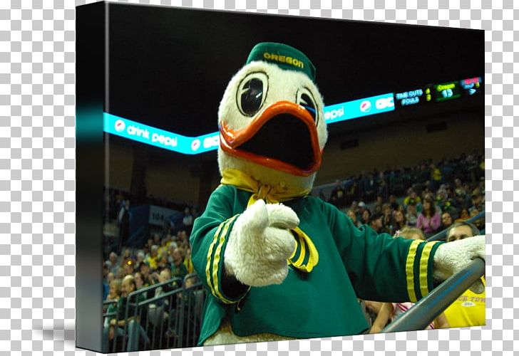 Matthew Knight Arena Oregon Ducks Men's Basketball Oregon Ducks Women's Basketball Art College Basketball PNG, Clipart, Arena, Art, Basketball, College Basketball, Donna Duck Free PNG Download