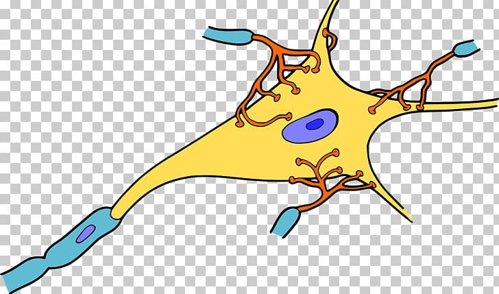 Neuron Biology Synapse Dendrite PNG, Clipart, Art, Artwork, Beak, Biology, Brain Free PNG Download