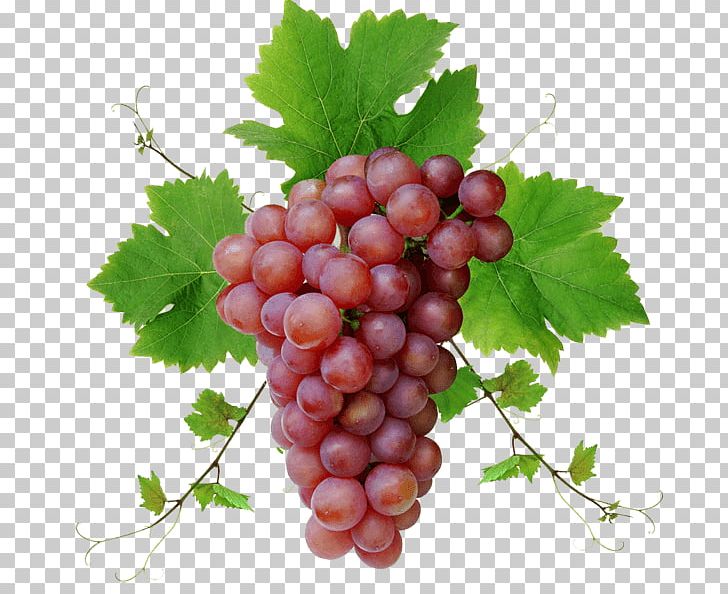 Red Grape With Leaves PNG, Clipart, Food, Fruits, Grapes Free PNG Download