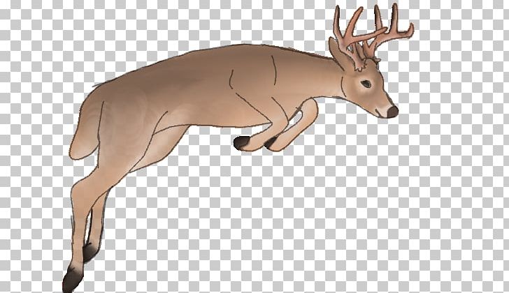 Reindeer White-tailed Deer Elk Cattle PNG, Clipart, Animal, Antler, Cattle, Cattle Like Mammal, Deer Free PNG Download