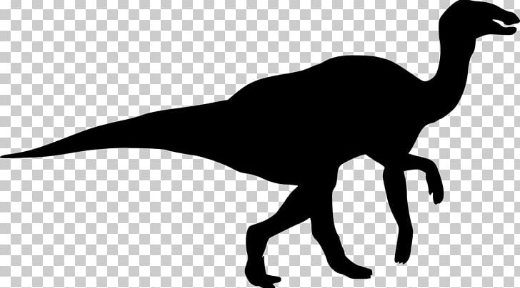Tyrannosaurus Dinosaur Size Silhouette Spinosaurus PNG, Clipart, 3d Dinosaurs, Beak, Black And White, Dinosaur, Dinosaur Footprints Reservation Free PNG Download