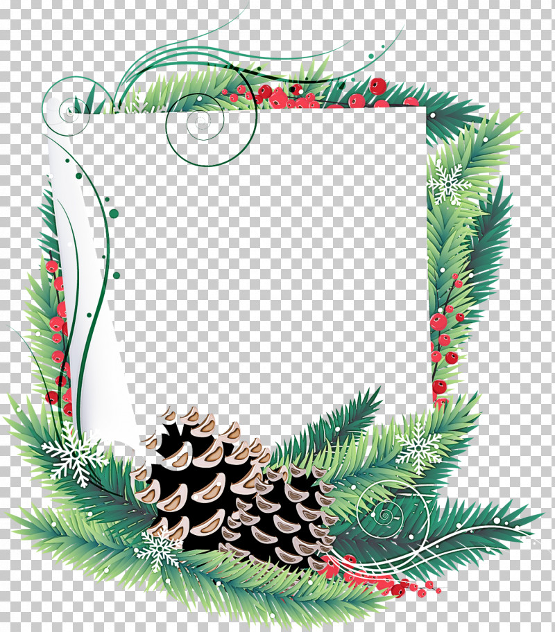 Christmas Decoration PNG, Clipart, American Larch, Branch, Christmas Decoration, Colorado Spruce, Conifer Free PNG Download