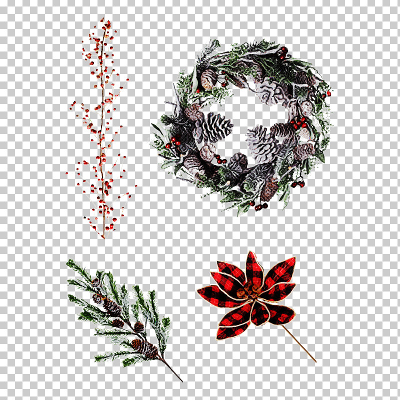 Christmas Decoration PNG, Clipart, Christmas Decoration, Flower, Holly, Interior Design, Oregon Pine Free PNG Download