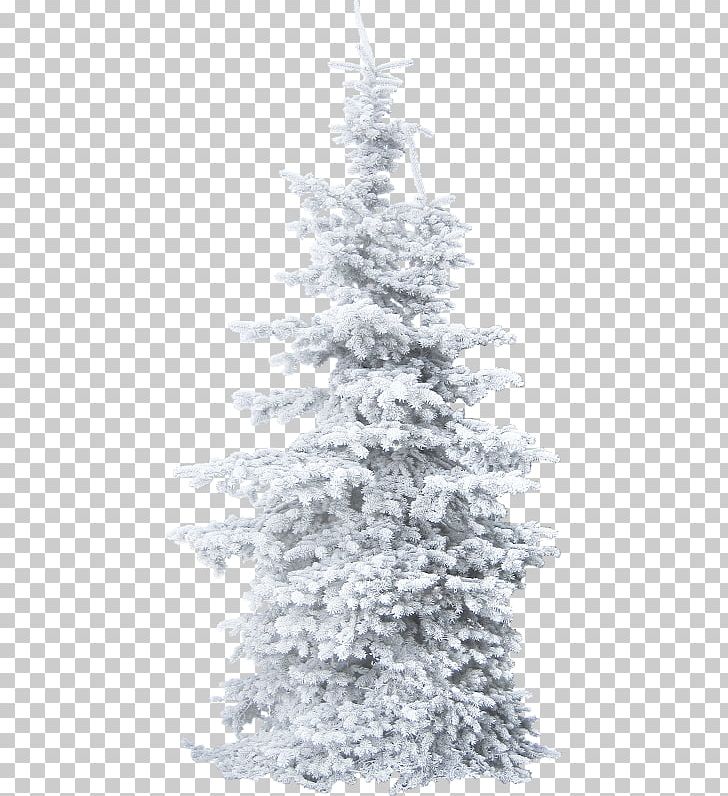 Christmas Tree Christmas Tree PNG, Clipart, Branch, Cam, Christmas, Christmas Decoration, Christmas Gift Free PNG Download