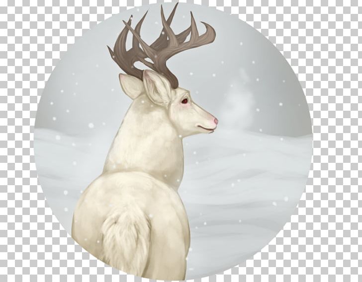 Reindeer Antler Mammal Animal PNG, Clipart, Animal, Animals, Antler, Deer, Mammal Free PNG Download
