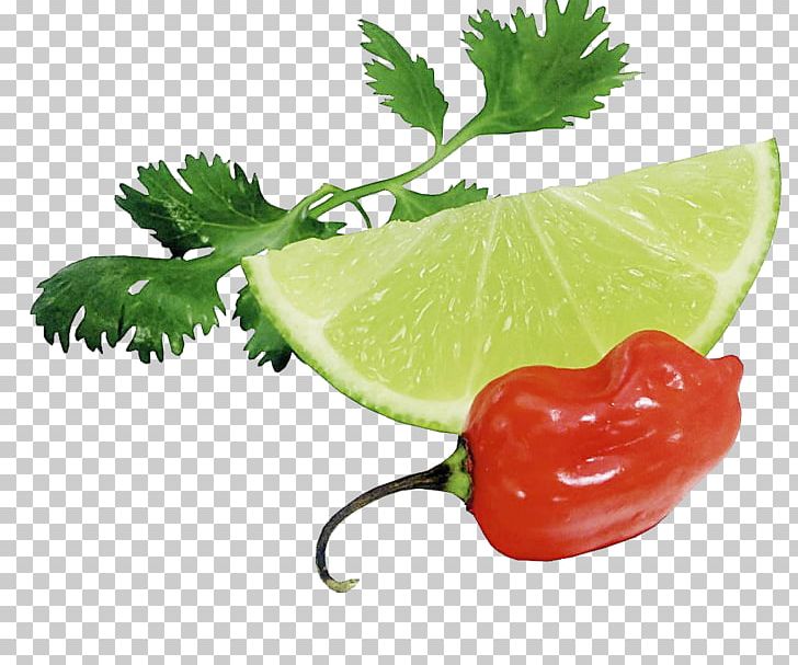 Lime Green Papaya Salad Lemon Auglis Vegetable PNG, Clipart, Black Pepper, Capsicum Annuum, Celery, Celery Leaves, Chili Free PNG Download