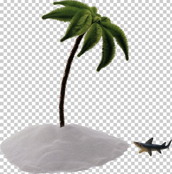 Arecaceae Tree Pipe Cleaner Stock Photography PNG, Clipart, Arecaceae, Getty Images, Island, Leaf, Nature Free PNG Download