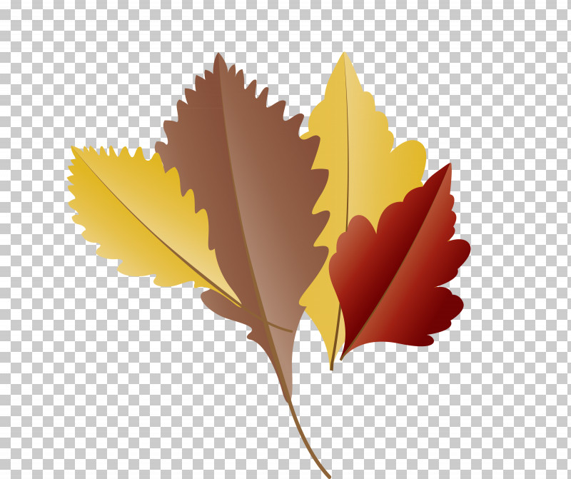 Maple Leaf PNG, Clipart, Autumn Leaf, Biology, Cartoon Leaf, Computer, Fall Leaf Free PNG Download