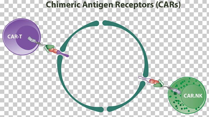 Chimeric Antigen Receptor Natural Killer Cell T Cell PNG, Clipart, Antibody, Antigen, Antigenpresenting Cell, Auto Part, Body Jewelry Free PNG Download
