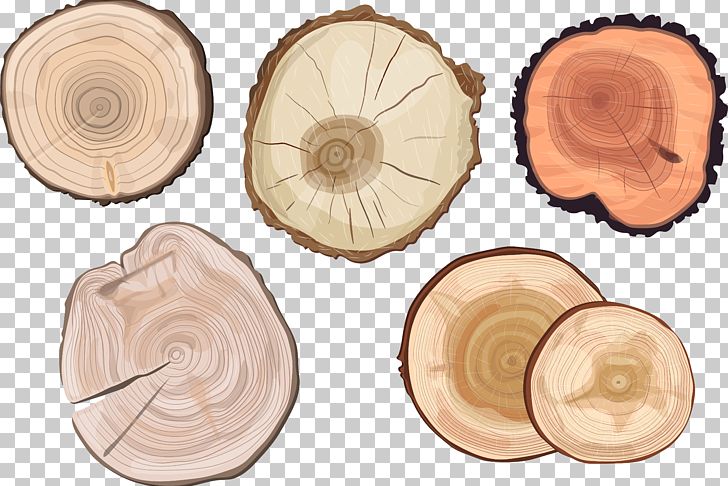 Tree Trunk Aastarxf5ngad Euclidean PNG, Clipart, Adobe Illustrator, Circle, Cross Section, Dishware, Download Free PNG Download