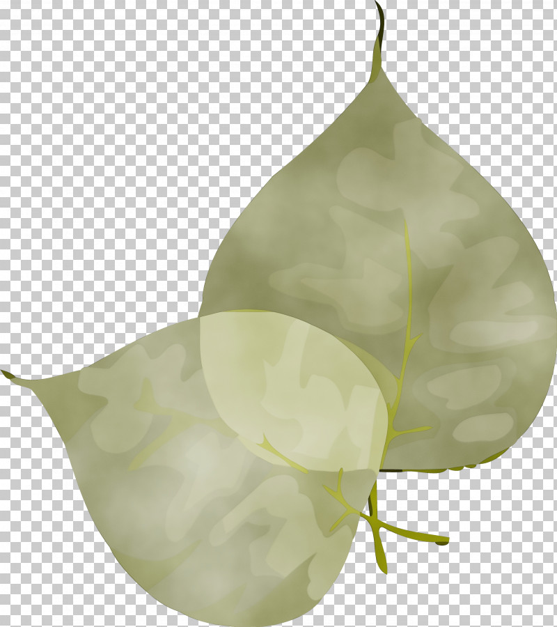 Leaf Fruit Plant Structure Biology Plants PNG, Clipart, Biology, Bodhi Day, Fruit, Leaf, Paint Free PNG Download