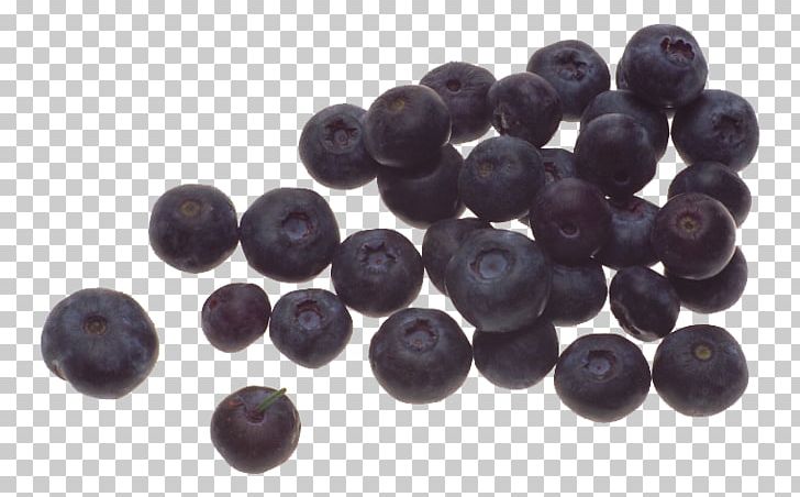 Blueberry Purple PNG, Clipart, Arb, Bead, Berry, Blue, Blueberry Free PNG Download