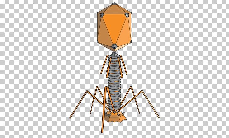 Hershey–Chase Experiment Bacteriophage Bacteria Virus PNG, Clipart, Bacteria, Bacteriophage, Biologist, Biology, Cell Free PNG Download