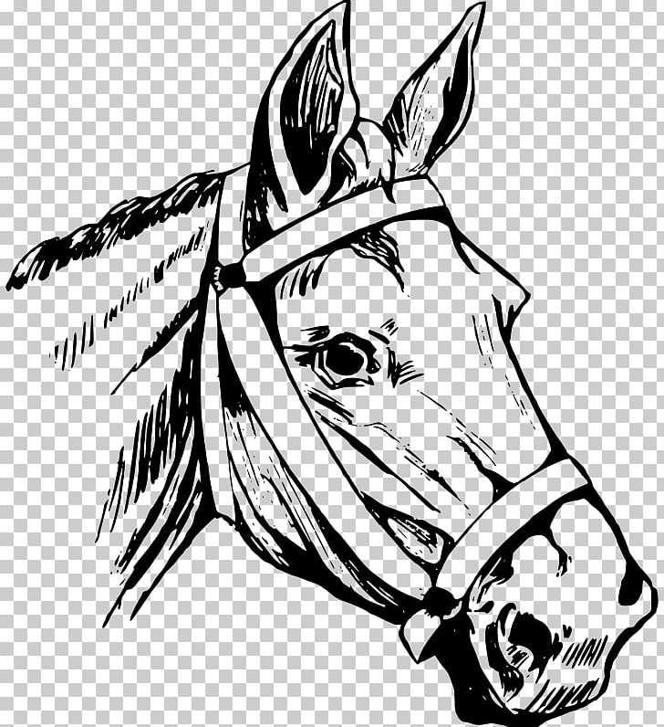 Horse Head Mask Equestrian PNG, Clipart, Animals, Art, Black, Bridle, Collection Free PNG Download