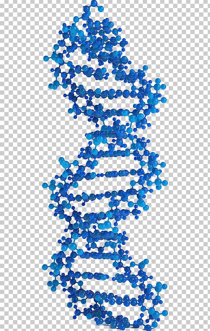 Molecular Models Of DNA Genetics DNA Virus Nucleic Acid Double Helix PNG, Clipart, Area, Black And White, Blue, Chipsequencing, Dna Free PNG Download