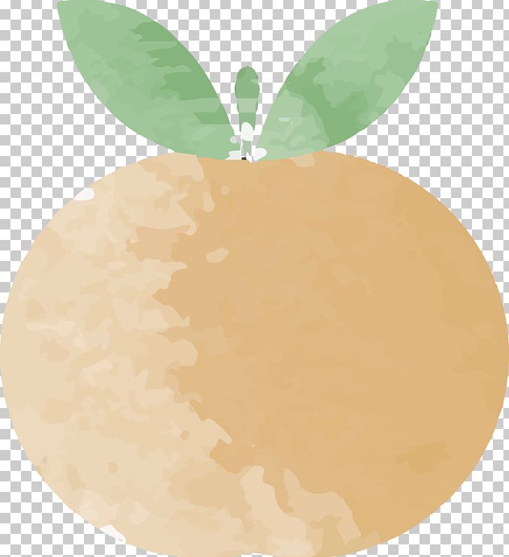 Watercolor Painting Grapefruit PNG, Clipart, Cartoon, Cartoon Fruit, Cartoon Grapefruit, Download, Food Free PNG Download