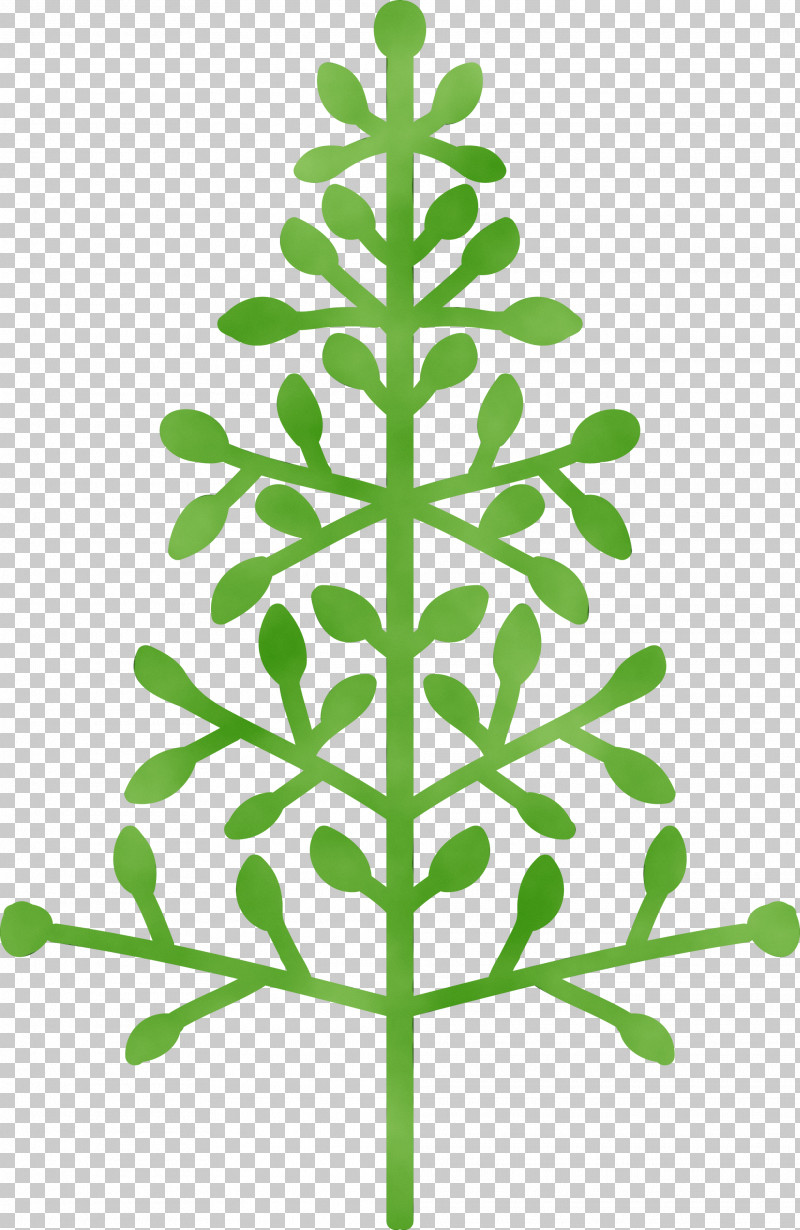 Leaf Green Tree Plant Plant Stem PNG, Clipart, Abstract Tree, American Larch, Cartoon Tree, Flower, Green Free PNG Download