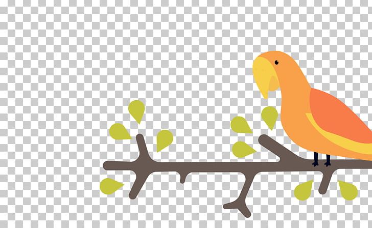 Bird Parrot Illustration PNG, Clipart, Animal, Animals, Bird Cage, Bird Vector, Branch Free PNG Download