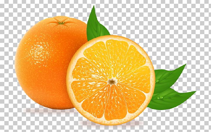 Blood Orange Juice Fruit Tangelo Tangerine PNG, Clipart, Auglis, Bitter Orange, Blood Orange, Citric Acid, Citron Free PNG Download
