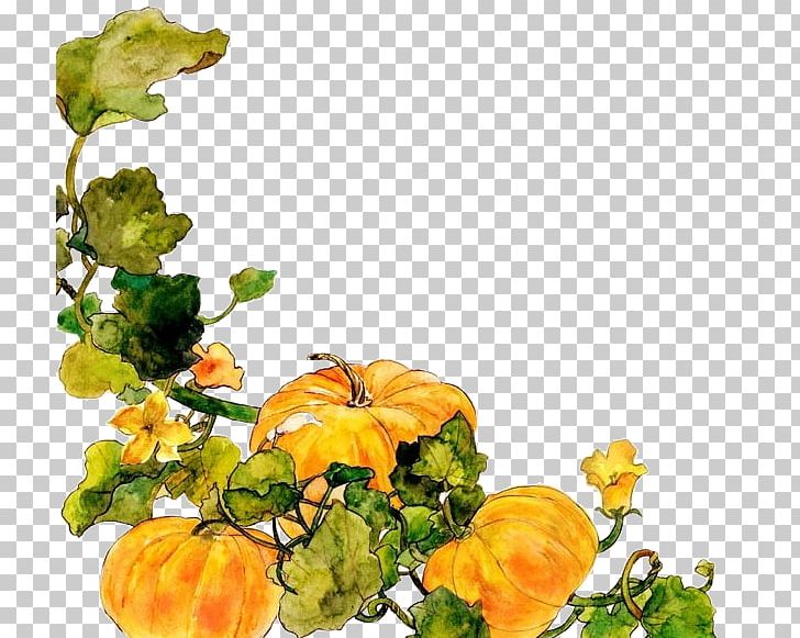 Floral Design Cucurbita Vegetable Cut Flowers PNG, Clipart, Cucumber, Cucumber Slices, Cucurbita, Cut Flowers, Floral Design Free PNG Download