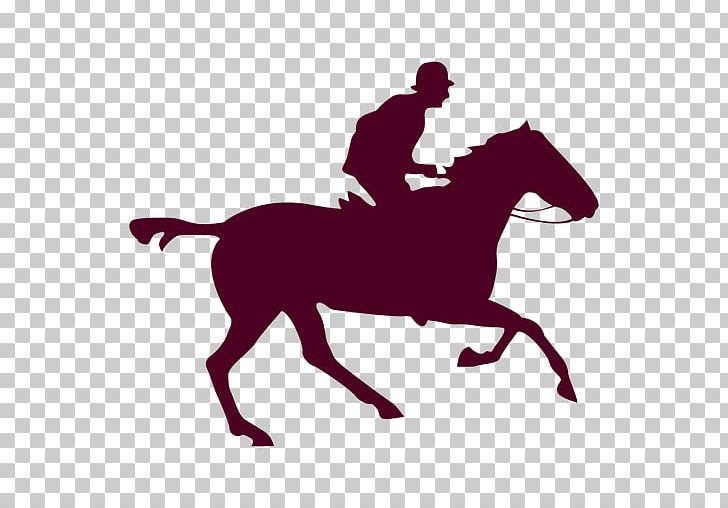 Horse Equestrian PNG, Clipart, Animals, Animation, Bridle, Content Format, Eadweard Muybridge Free PNG Download