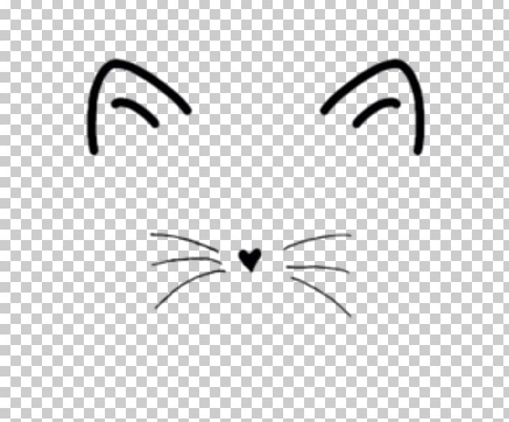 transparent cat whiskers