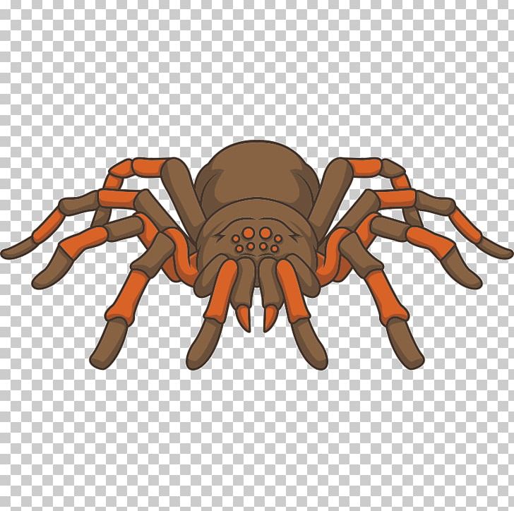 Drawing Tarantula PNG, Clipart, Arachnid, Arthropod, Can Stock Photo, Cartoon, Clip Art Free PNG Download