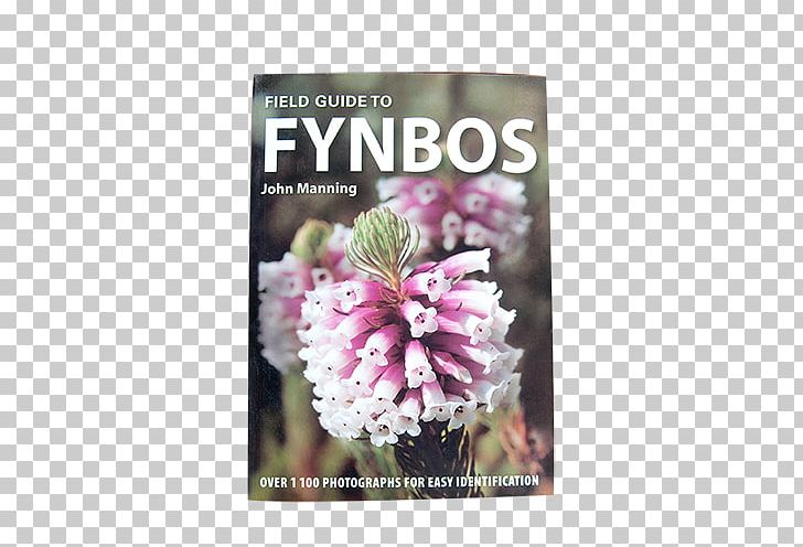 Field Guide To Fynbos Field Guide To Wild Flowers Of South Africa First Field Guide To Succulents Of Southern Africa Cape Floristic Region PNG, Clipart, Book, Field Guide, Flora, Flower, Flowering Plant Free PNG Download