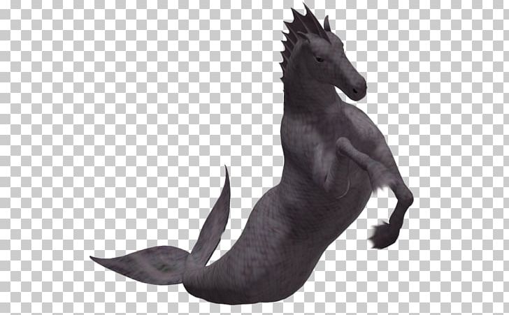 Hippocampus Dog Breed Poser Horse PNG, Clipart, 3 D Render, Bree, Carnivoran, Deviantart, Dog Free PNG Download